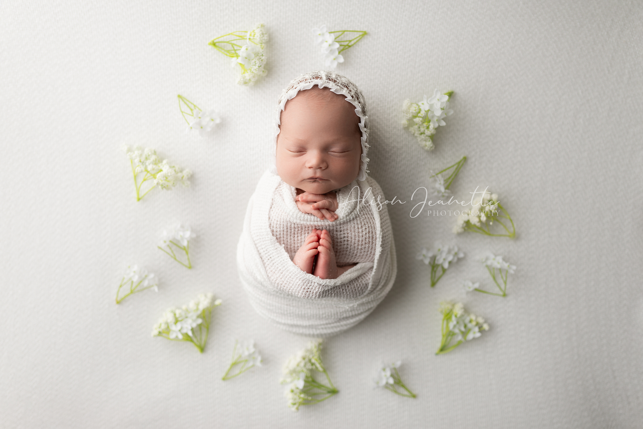 Professional Studio Newborn Baby Alison Jeanette Photography Saskatoon Saskatchewan Photographer